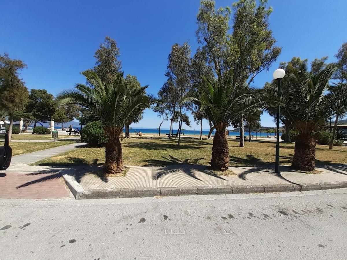 Villa Malena Alykes Beach Volos Exteriör bild
